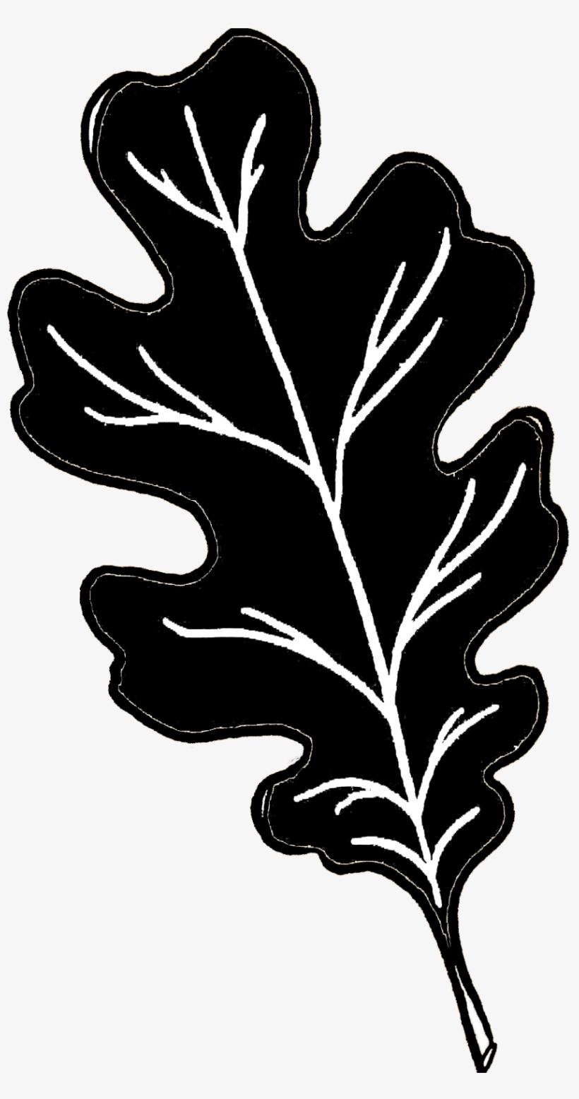 Black Oak Leaves Png, transparent png download