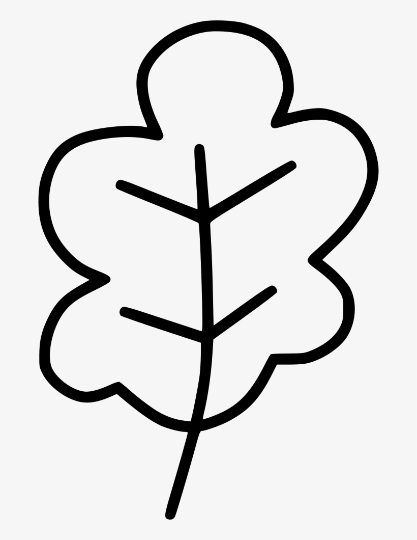 Oak Leaf Leaves Autumn Dry Tree Comments - Oak, transparent png download
