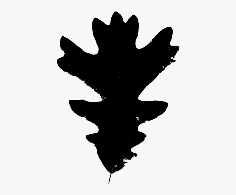 Oakleaf - White Oak Leaf, transparent png download