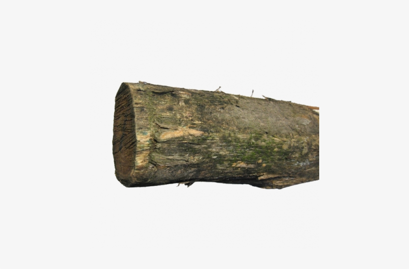 See More Images - Black Locust, transparent png download