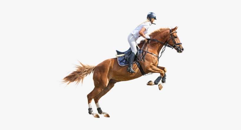 Man Riding Horse Png, transparent png download