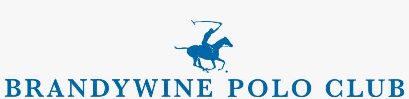 Stallion, transparent png download