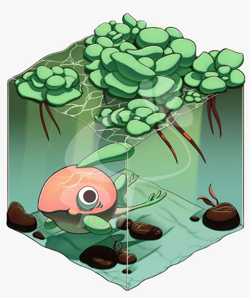 Cin Woodworth Day 3 Of - Water, transparent png download