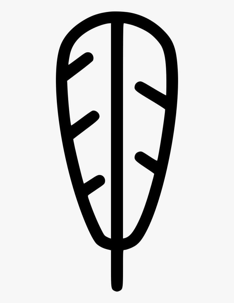 Turkey Eagle Feather Native American Comments - Eagle Feather Law, transparent png download