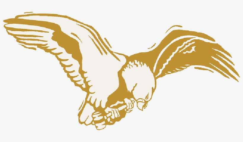 Mb Image/png - Gold Eagle Png, transparent png download