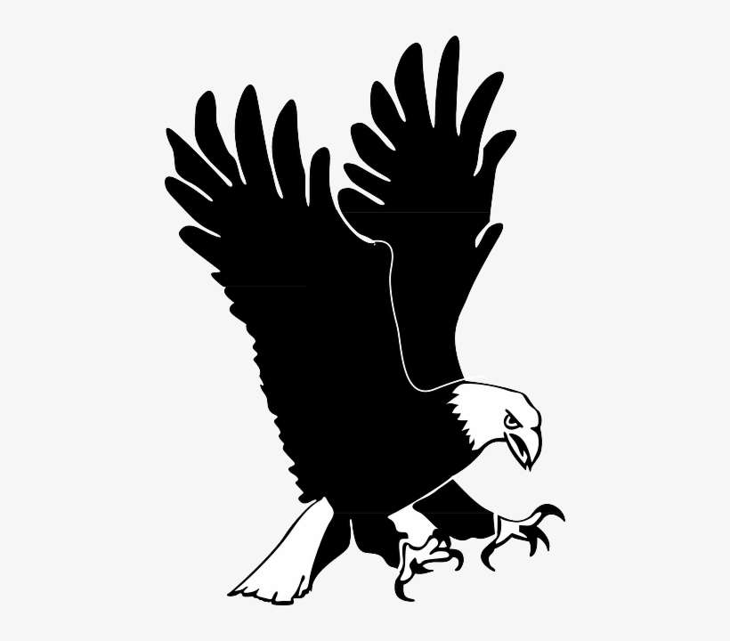Eagle, Bird, Wings, Landing, Hunting, Feathers - Eagle Clip Art, transparent png download