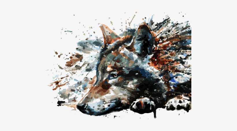 Pink Colorful Wolf Illustration Illustration Png Image Transparent Png Free Download On Seekpng