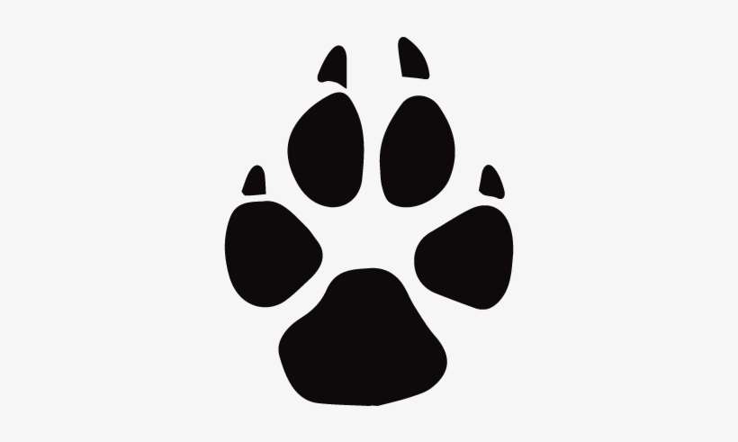 Gray Wolf Clipart Tundra Animal - Wolf Paw Print, transparent png download