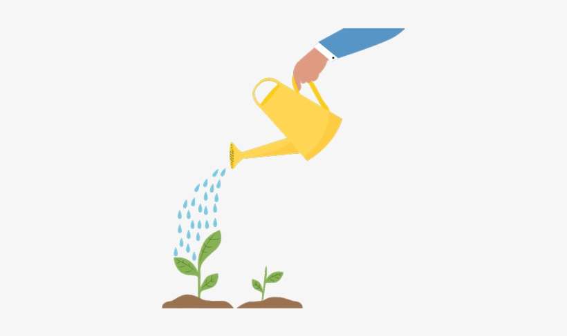 Hand Holding Watering Can, Pouring Water On Small Plants - Watering Can Plant Png, transparent png download