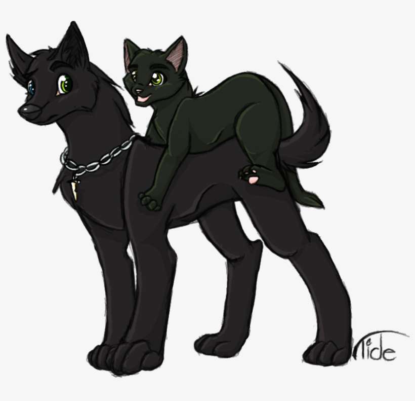 Drawn Black Cat Black Wolf - Black Cat, transparent png download