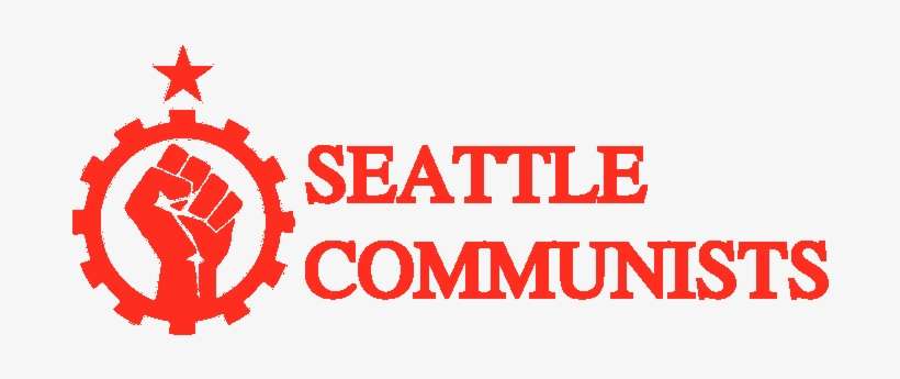 Solidarity Salute Pillow Case, transparent png download