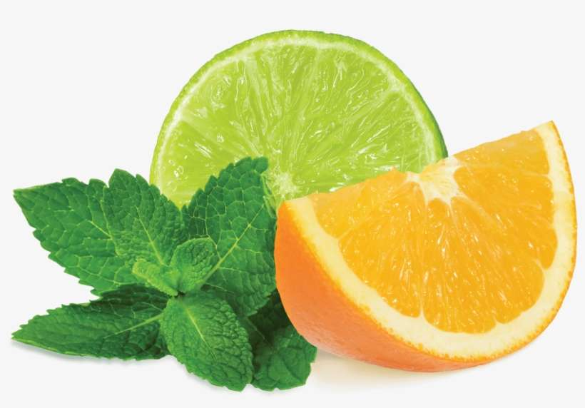 Mint Transparent - Citrus Mint, transparent png download