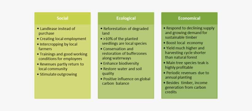 Sustainability Concept - Concept Of Sustainability, transparent png download