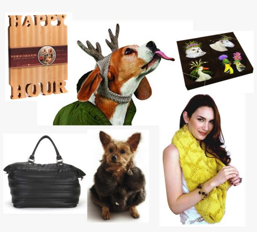 Oprah - Frontgate Faux Fur Pet Jacket Channeled Mink Xl, transparent png download