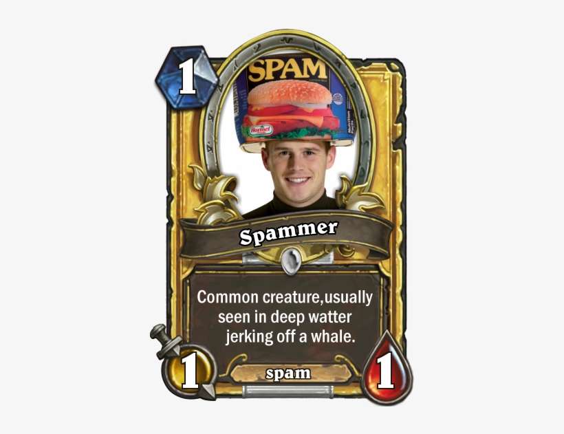 4c450295 - Captain's Parrot, transparent png download