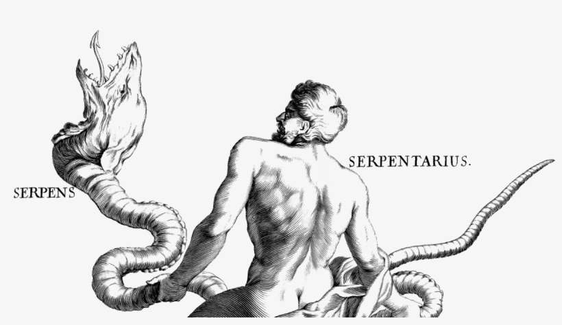 Thirteenth Zodiac Sign Ophiuchus Reintroduced - Ophiuchus Sketch, transparent png download