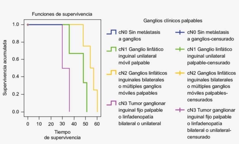 Supervivencia A 60 Meses De Pacientes Con Cáncer De - Number, transparent png download