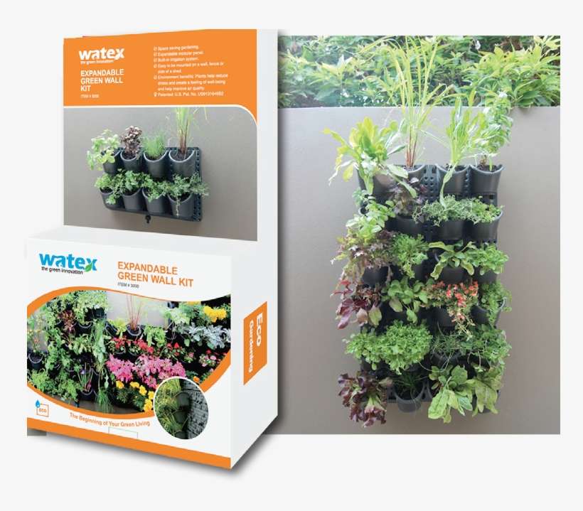 Green Wall - Watex Expandable Green Wall W/ Built-in Micro Dripper, transparent png download