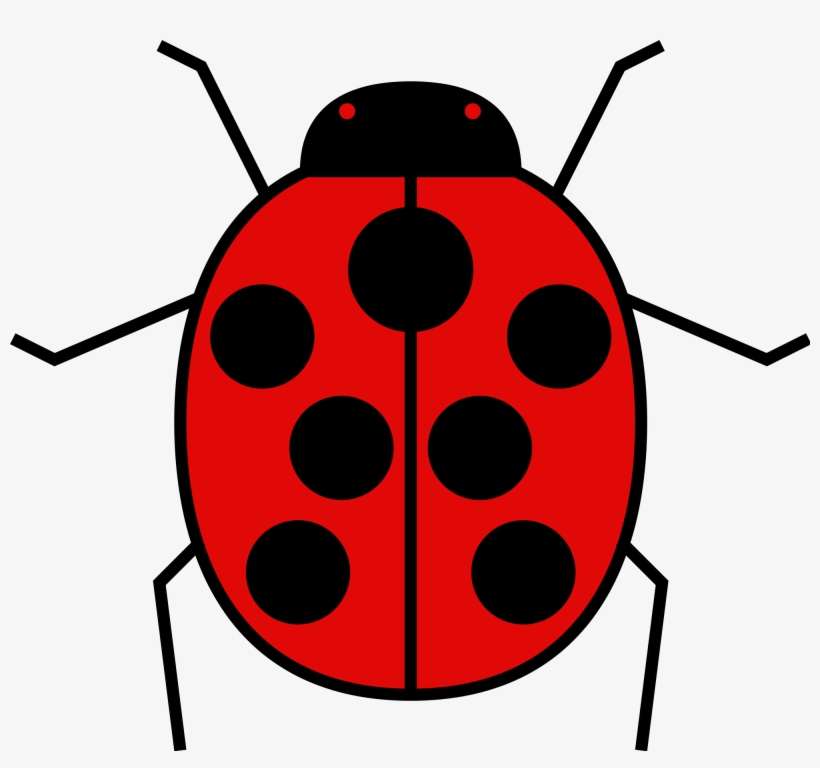 Open - Coccinelle In English, transparent png download