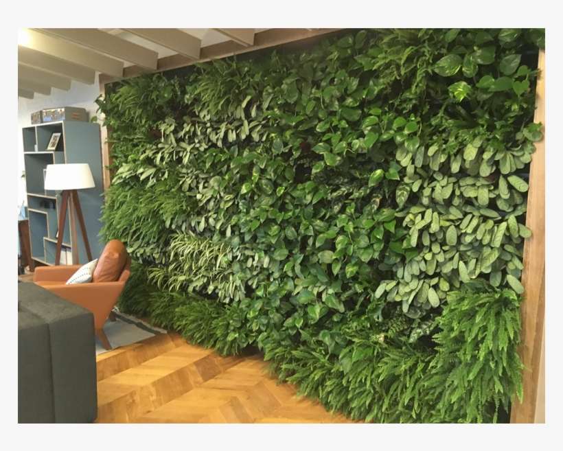 The Nexgen Requires Filling With Water By Hand, Starting - Wall, transparent png download