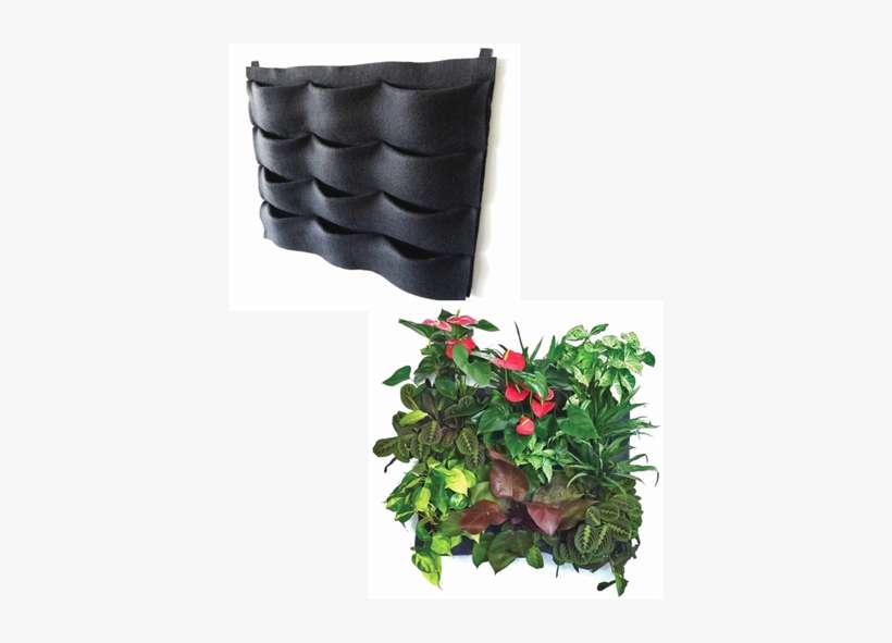 12 Pocket Unit - Felt System Vertical Garden, transparent png download
