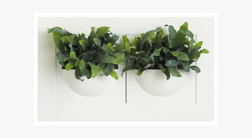 Discontinued Green Gallery Double Wall Planter - Flowerpot, transparent png download