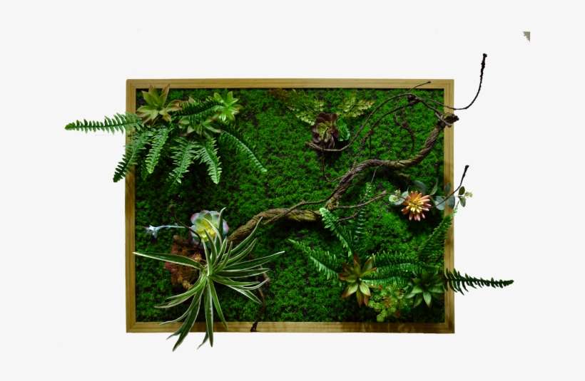 Green Wall, transparent png download