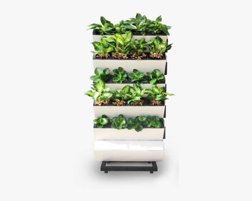 Outdoor Gardening, Or Just Want To Add Some Greenery - Vertical Garden Transparent, transparent png download