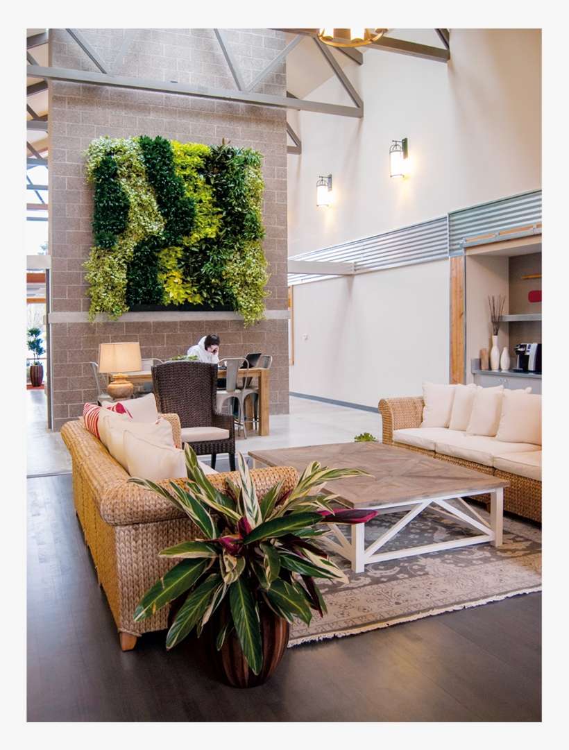 Living Wall 01 - Green Wall, transparent png download