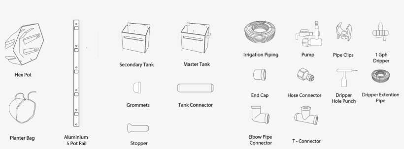 What You'll Need To Set Up Your Green Wall - Wall, transparent png download