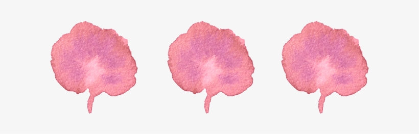 Cancellations Made With Less Than 48 Hours Notice Will - Portable Network Graphics, transparent png download