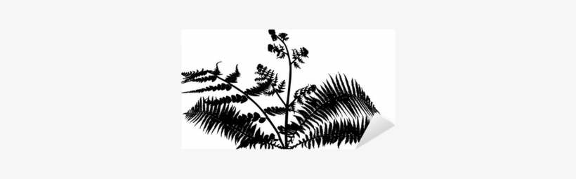 Fern Bush Silhouette Isolated On White Sticker • Pixers® - Silhouette, transparent png download