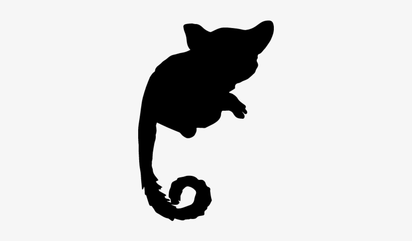 Mammal Bushbaby Shape Of Long Tail Vector - Bush Baby Icon, transparent png download