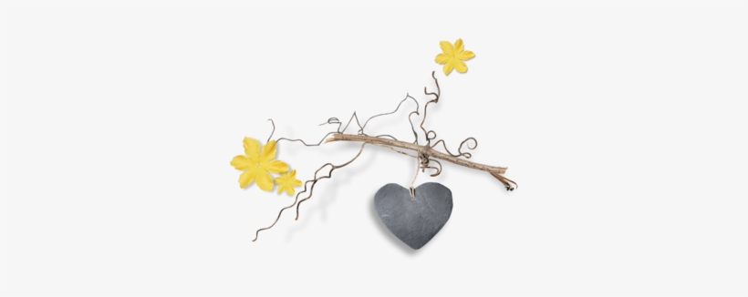 Overlays - Narcissus, transparent png download