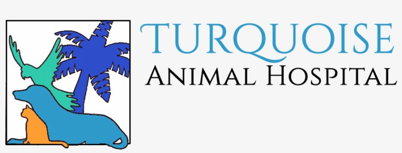 Veterinarian And Animal Clinic In San Diego, Ca - California, transparent png download