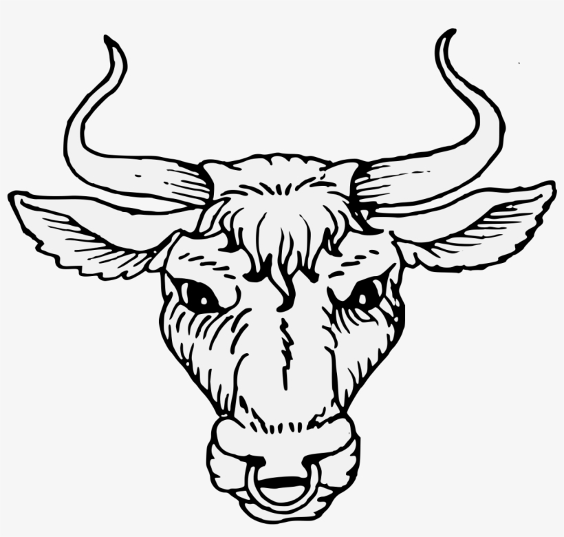 Bull's Head Cabossed - Heraldic Bull Head, transparent png download