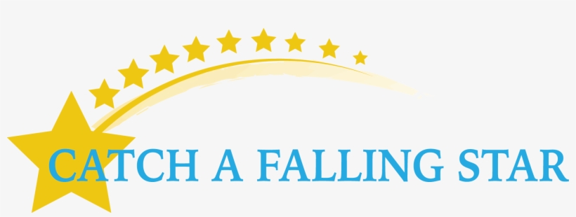 Catch A Falling Star - Patient Falling Catch A Star, transparent png download