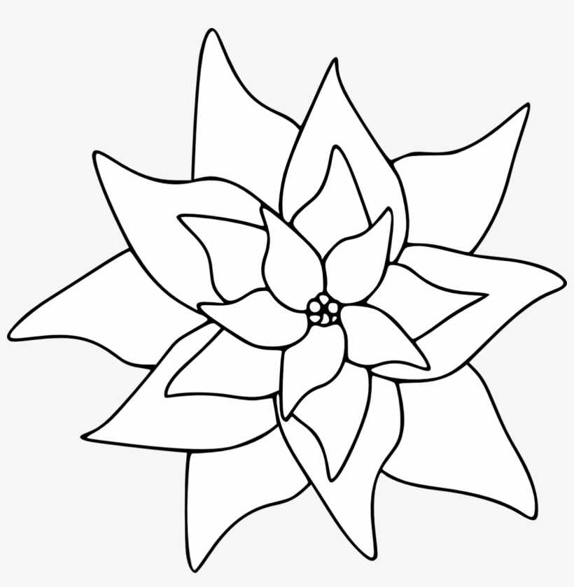 Poinsettia Clipart Paper Plate - Poinsettia Clipart Black And White, transparent png download