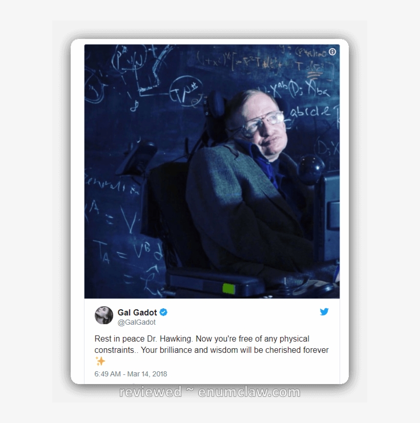 In A Tweet Honoring Hawking, Gadot Posted A Photo Of - Gal Gadot Stephen Hawking Tweet, transparent png download