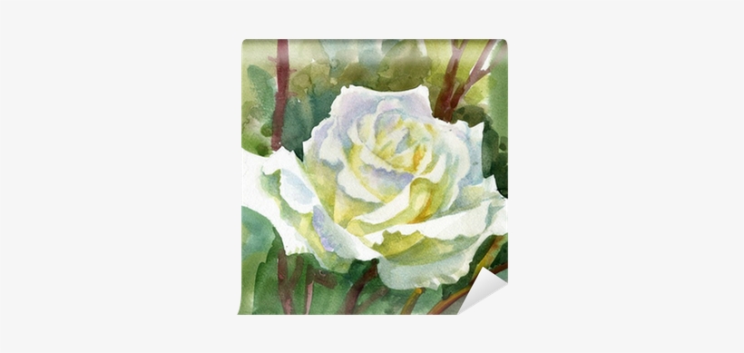 Watercolor Flower Collection - Fleurs Blanches Aquarelles Fleurs, transparent png download