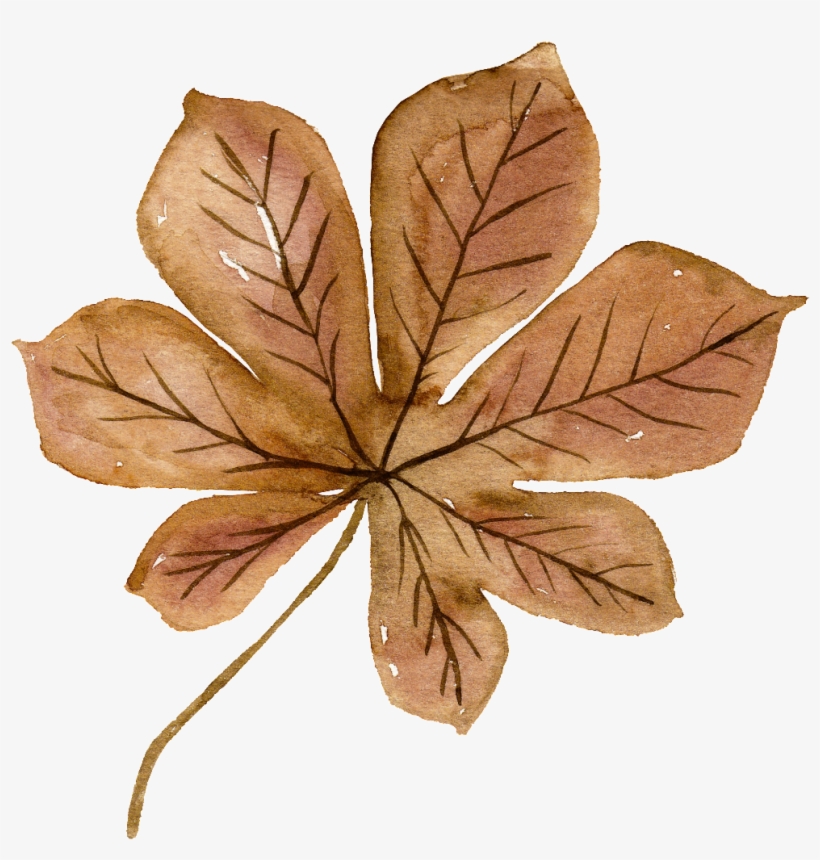 This Graphics Is Watercolor Brown Flowers Free Matting - Brown Watercolor Leaf Png, transparent png download