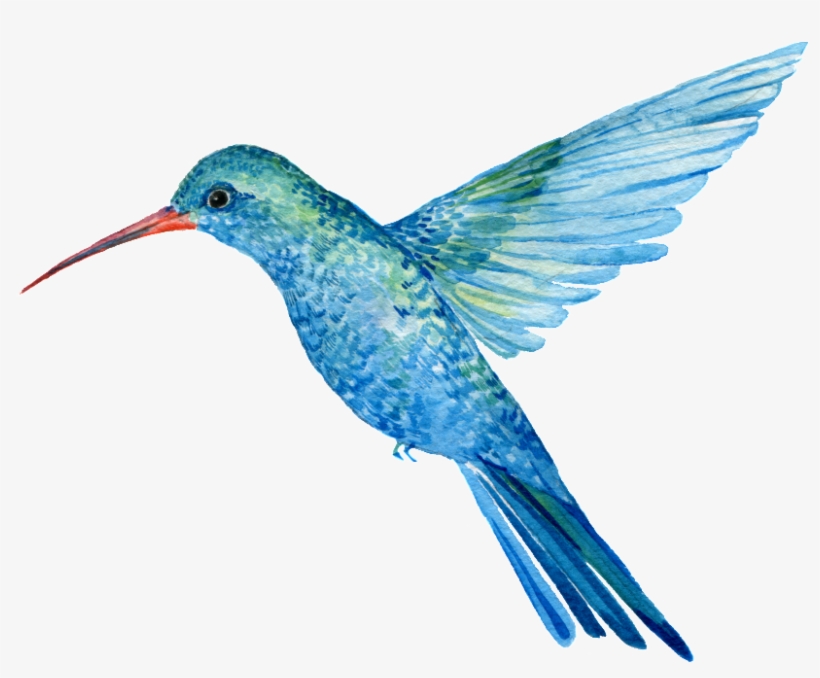 This Graphics Is Hand Painted A Bird Png Transparent - Portable Network Graphics, transparent png download