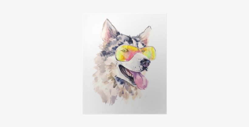 Watercolor Siberian Husky Dog In Cool Sun Glasses Poster - Husky Cool, transparent png download