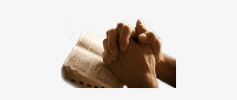 Hands Praying On Bible - Praying Hands Png Transparent, transparent png download
