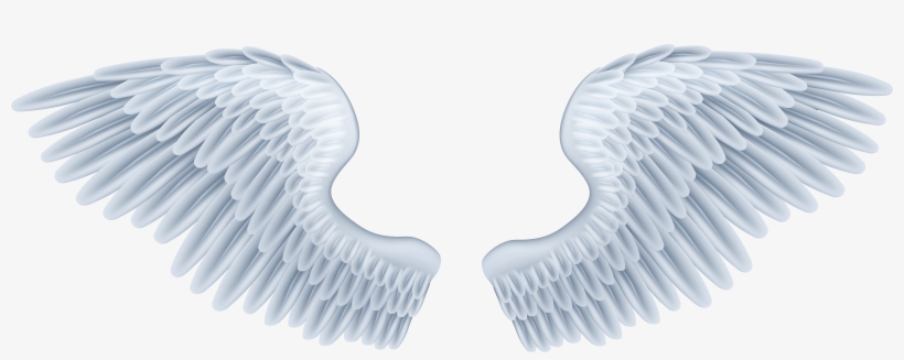 Download Baby Angel Wings Png - Angel Wings Clipart Transparent