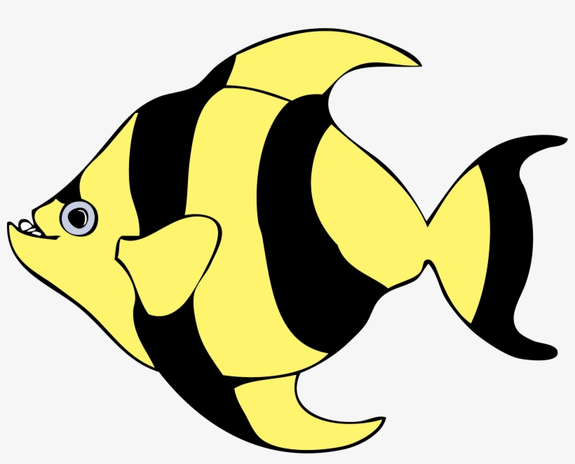 Coral Reef Fish Clipart - Fish Clip Art, transparent png download