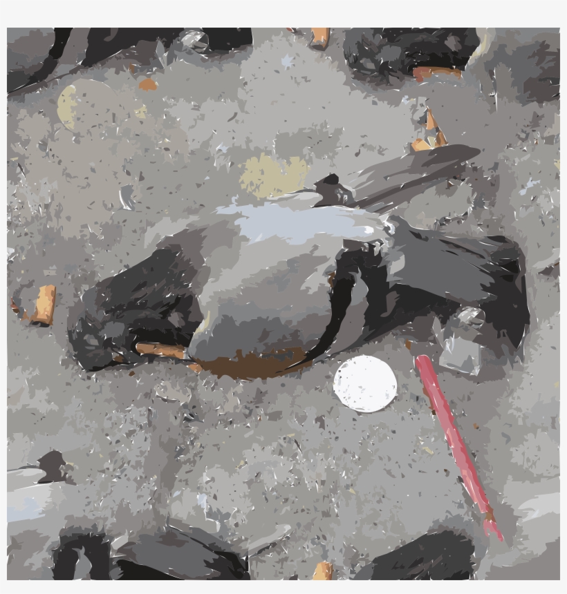 Columbidae Homing Pigeon Watercolor Painting Computer - Smoking Kills Eu, transparent png download