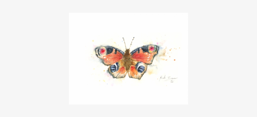 Aglais Io, transparent png download