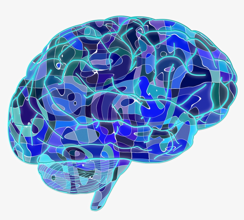 Every Artist Knows That Putting Brush To Canvas Can - Adverse Childhood Experiences Brain, transparent png download