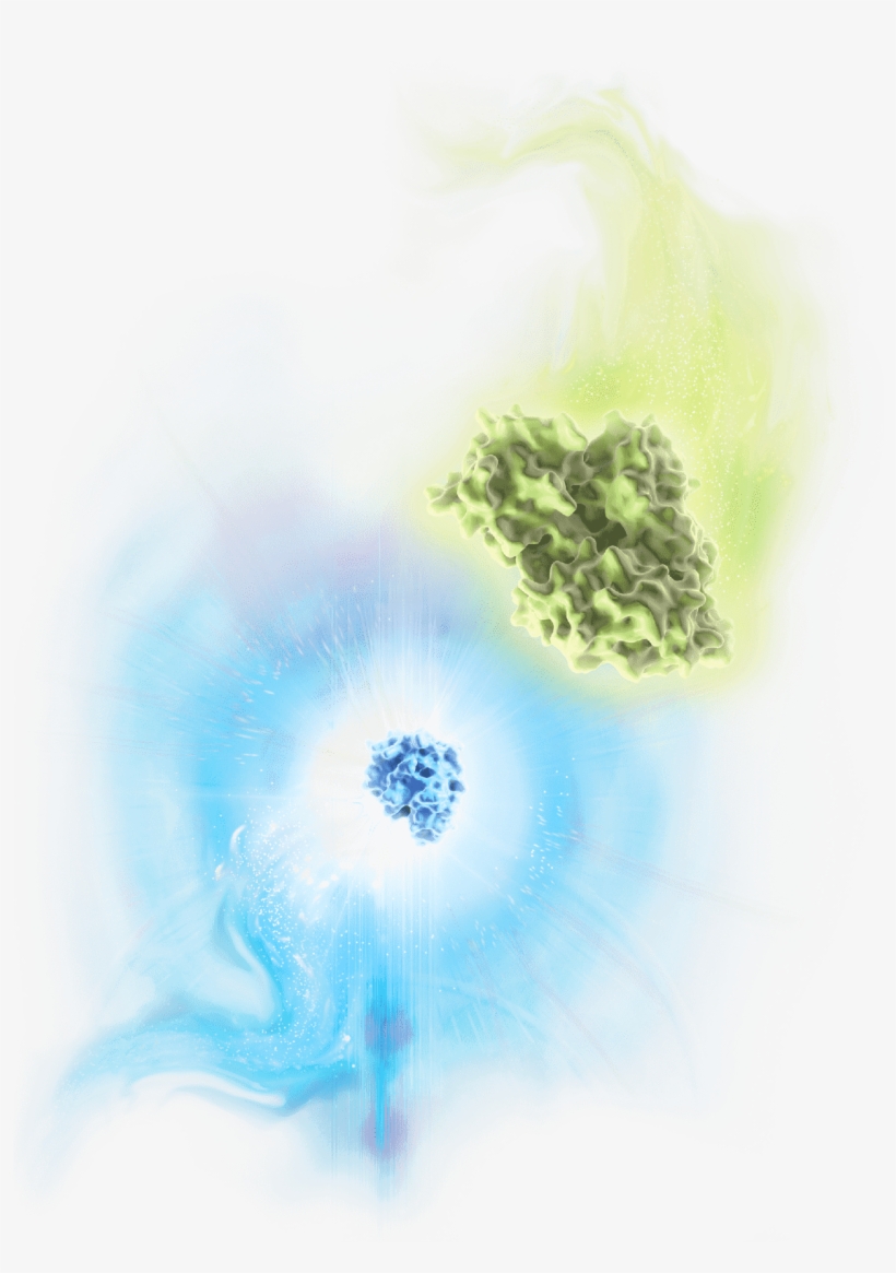 Png Stock Fireflies Drawing Watercolor - Visual Arts, transparent png download